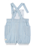 Striped Overall Shorts Pale Blue -  Baby Parker