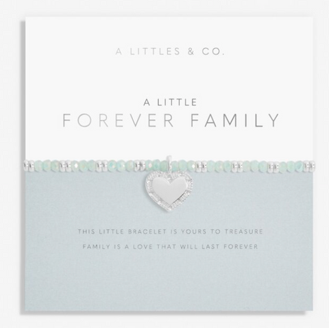 Live Life In Color A Little 'Forever Family' Bracelet in Silver Plating