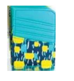 Scansafe Women's Card Case