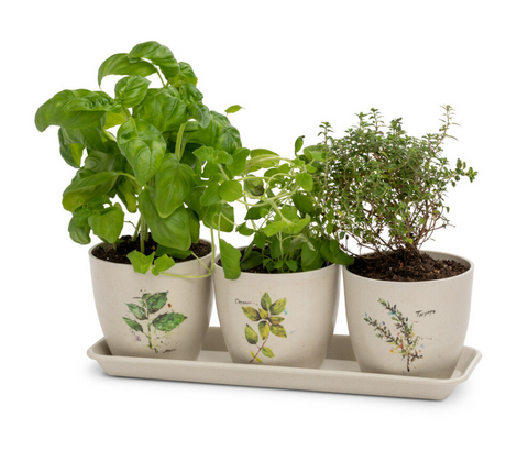 Herb Planter Set