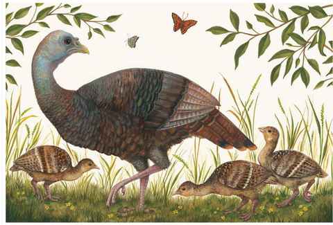 Heritage Hen Placemats