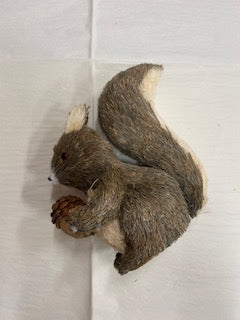 Squirrel Decor