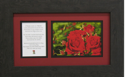 Roses Framed Picture