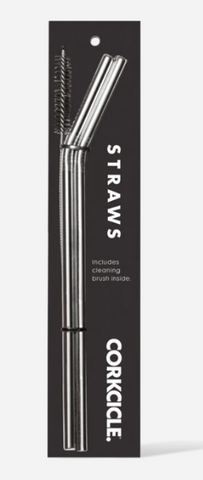 Stainless Steel Tumbler Straw 2-Pack