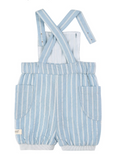 Striped Overall Shorts Pale Blue