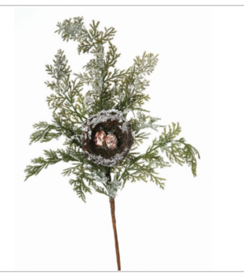 Frosted Cedar with Bird-nest