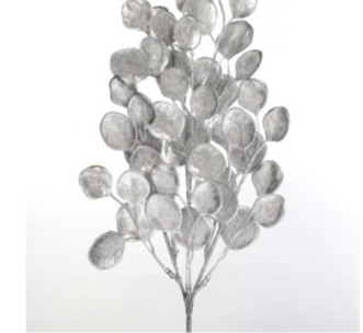 Painted Frost Eucalyptus Spray