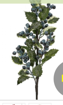 Frosted with Berry Holly